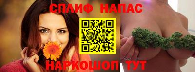 стафф Тула