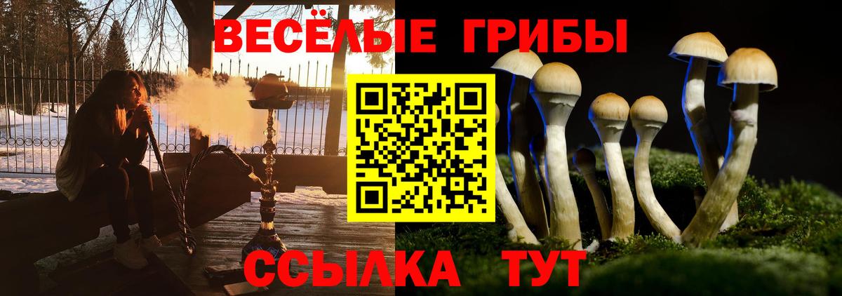 Артёмовский  Псилоцибиновые грибы Psilocybe  Вход с VPN  Псилоцибиновые грибы ЛСД 
