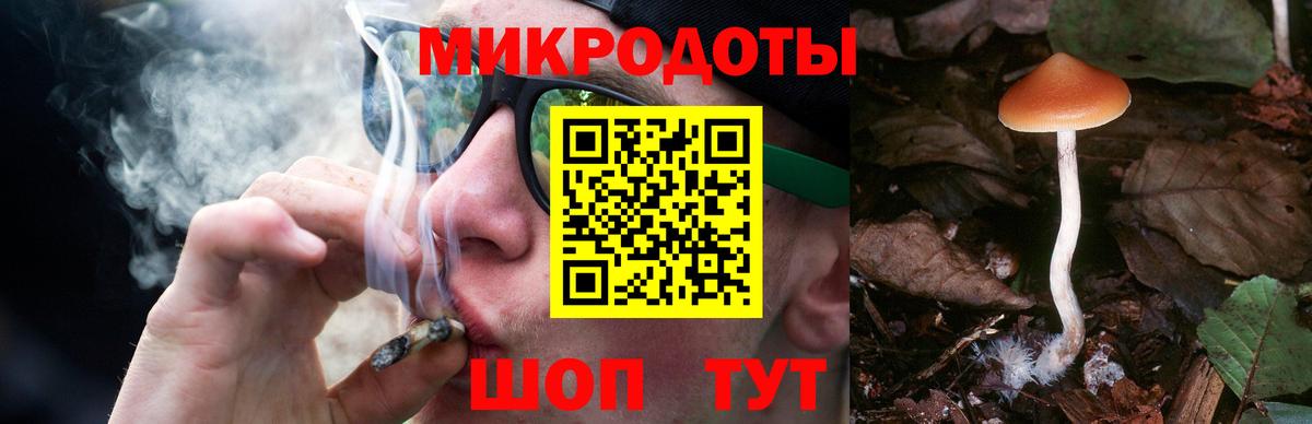 Псилоцибиновые грибы GOLDEN TEACHER Артёмовский